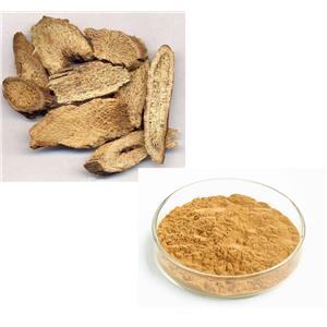 Aucklandia Root Extract