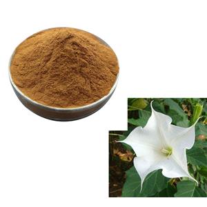 Scopolamine butylbromide; Flos?daturae extract