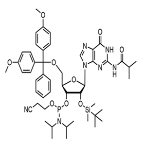  5'-DMT-2'-TBDMS-N2-ibu-rG phosphoramidite