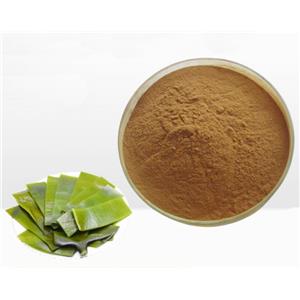 Fucoxanthin; Kelp extract