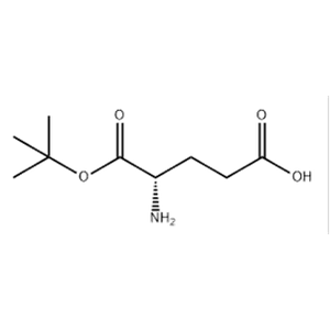 L-Glutamic acid α-tert·butyl ester