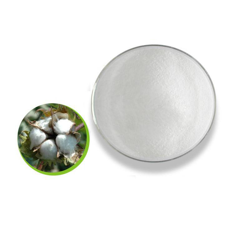 D(+)-Raffinose pentahydrate; Cottonseed extract