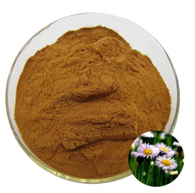 Breviscapin；Erigeron breviscapus extract