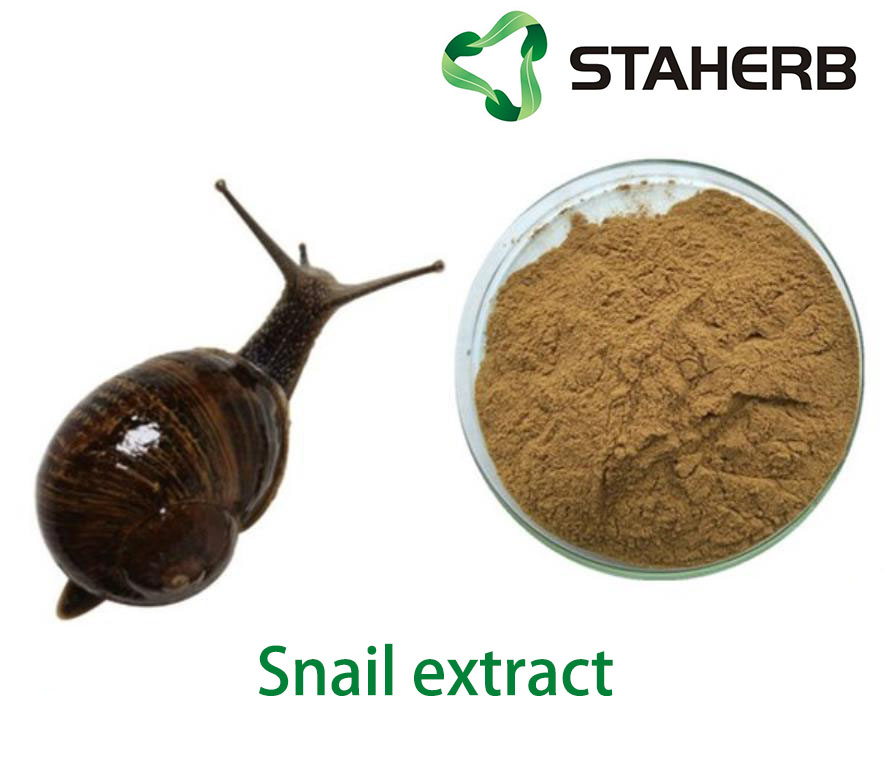 Snail Extract