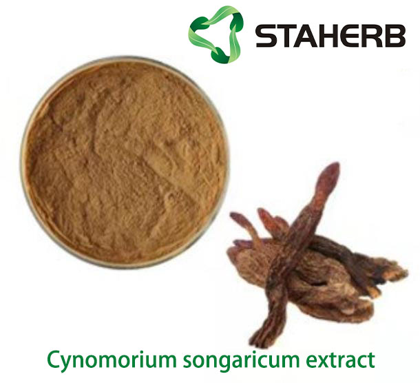 Cynomorium songaricum extract