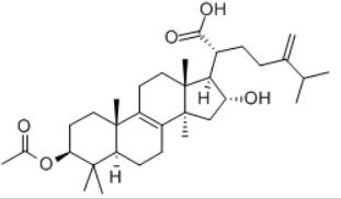 Pachymic acid