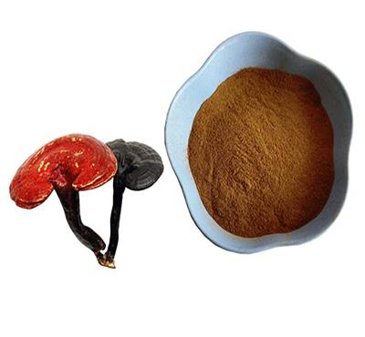 Ganoderma Extract 