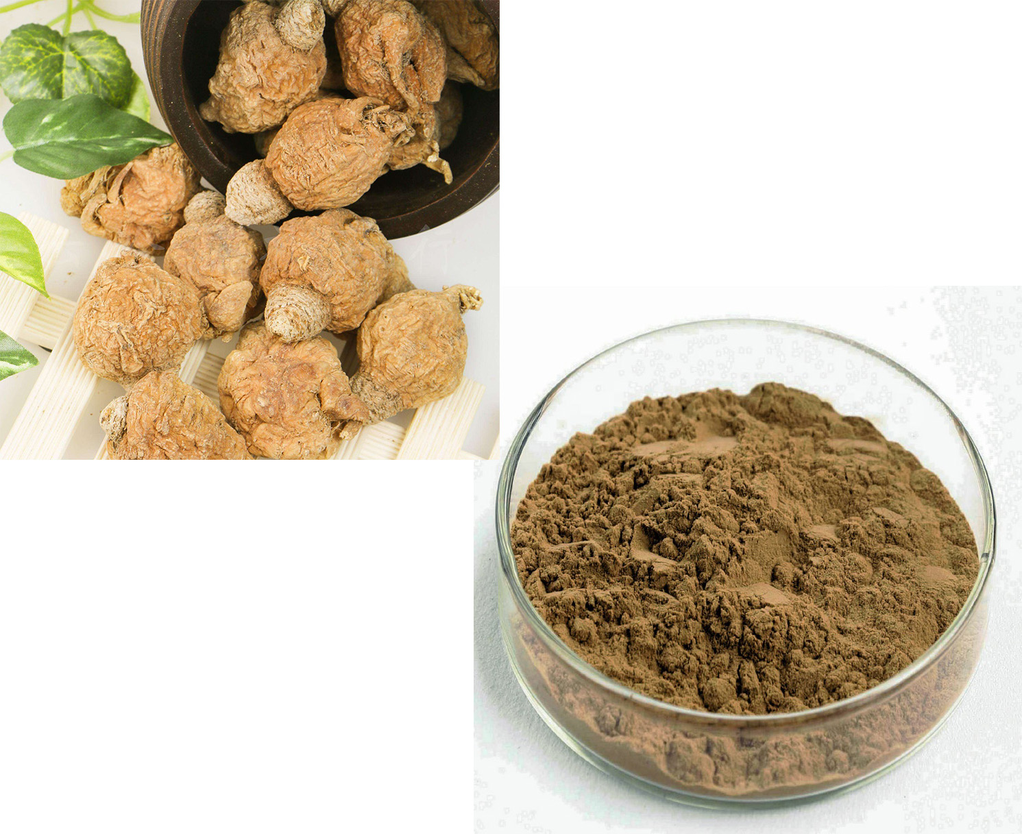 Maca extract powder