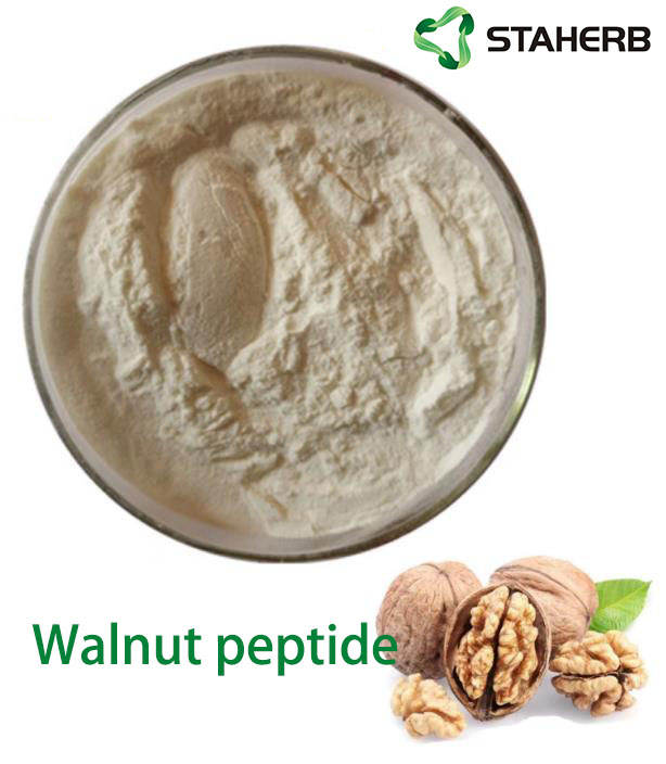 Walnut peptide