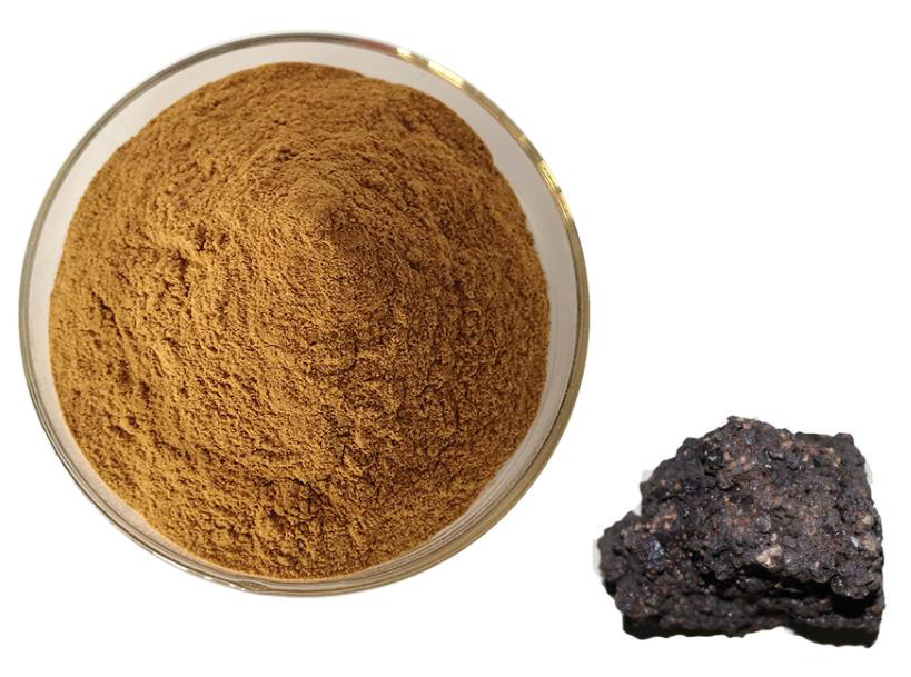 Shilajit Extract; Fulvic acid