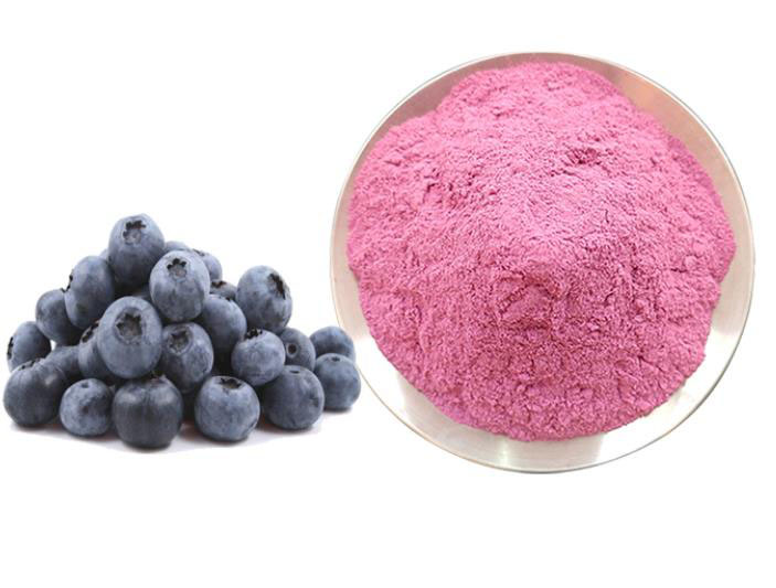 Powdered Bilberry Extract