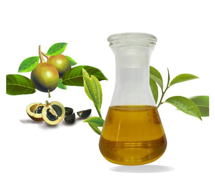 Camellia seed oil