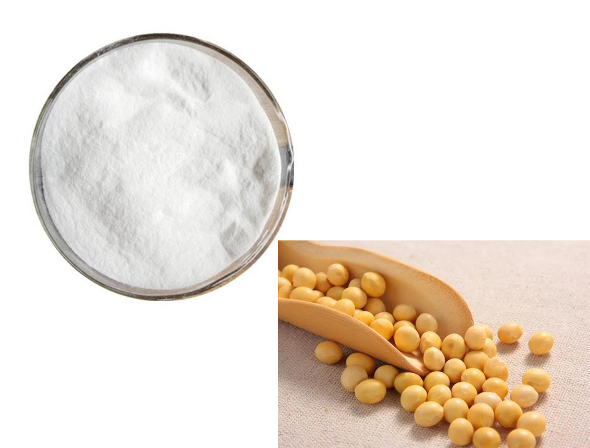 SOYASAPONIN I； Soybean Extract