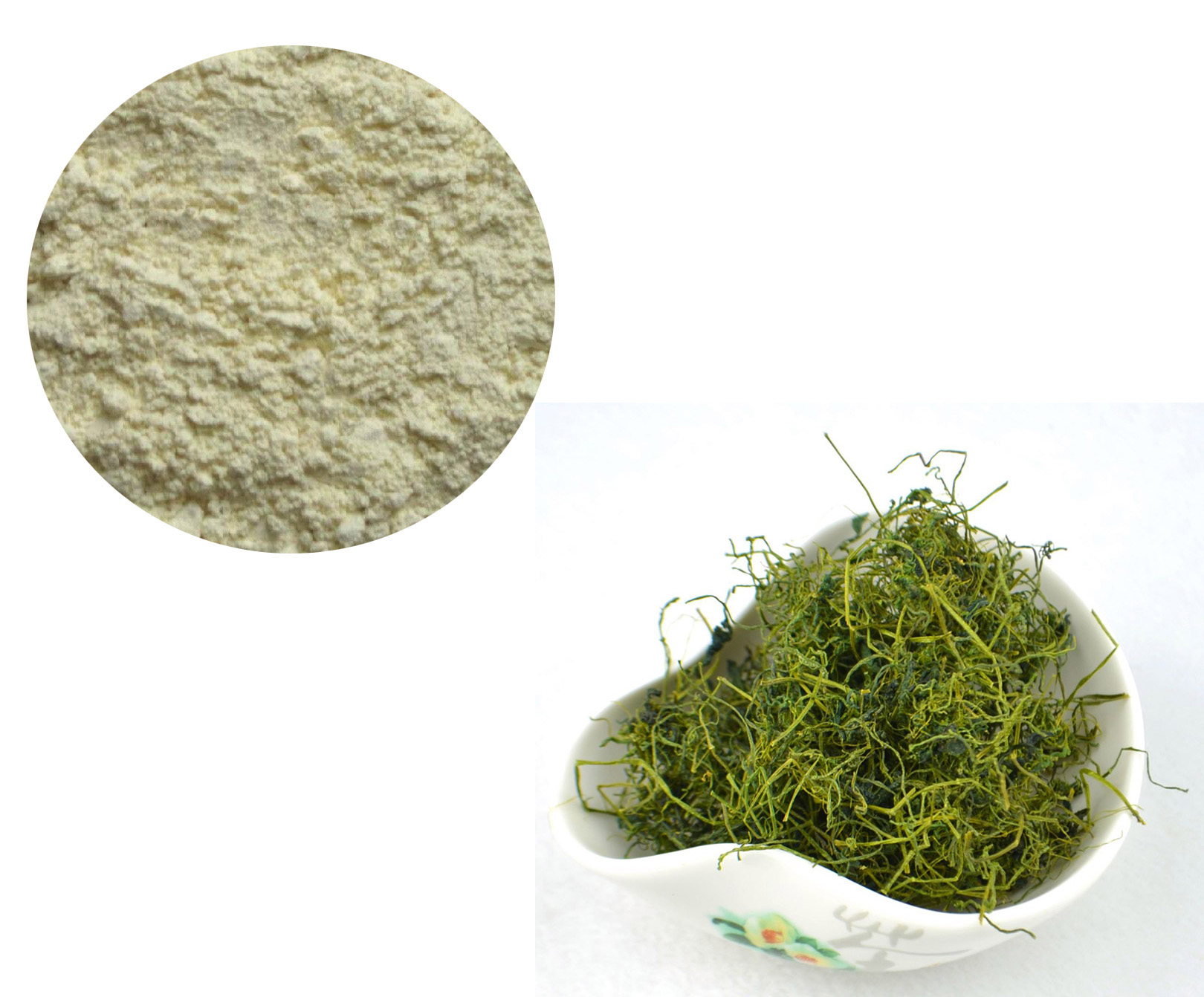 GYNOSTEMMA PLANT EXTRACT；GYPENOSIDES 