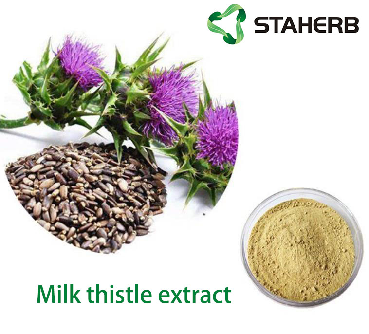 Milk Thistle Extract