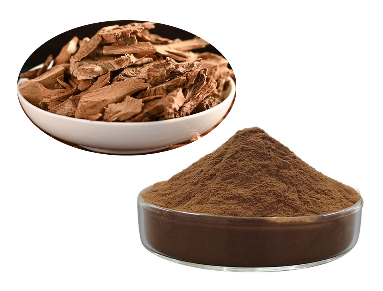 Tripterygium wilfovdii extract; Common Threewingnut Root Extract