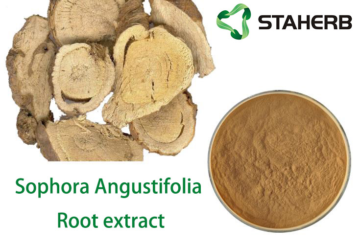 Sophora Angustifolia Root extract