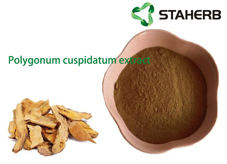 Polygonum cuspidatum extract