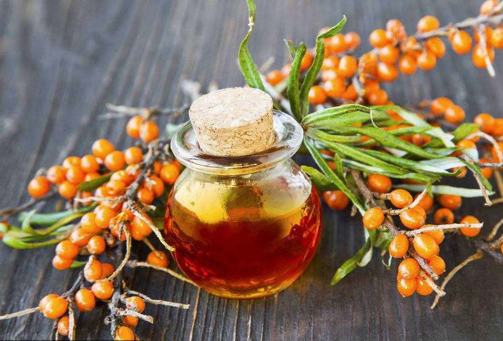 Hippophae Seed Oil