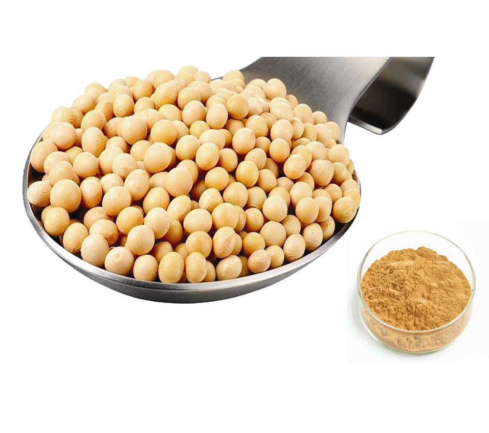 Soybean Dietary Fiber Powder