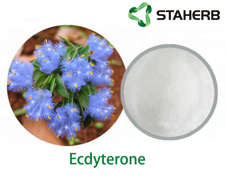 Ecdyterone