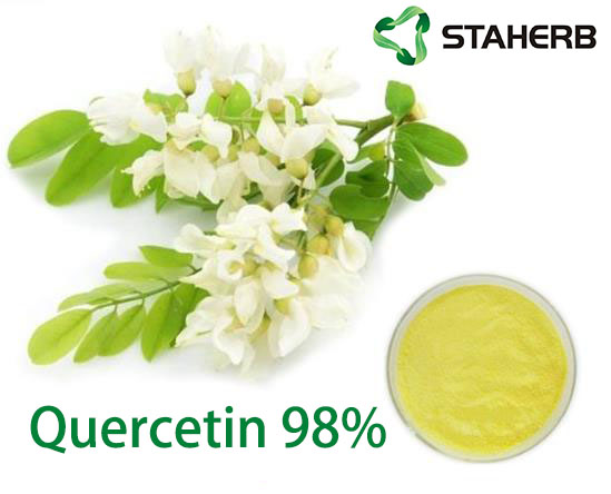 Sophora japonica extract quercetin