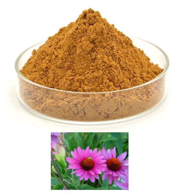 ECHINACEA HERB P.E.