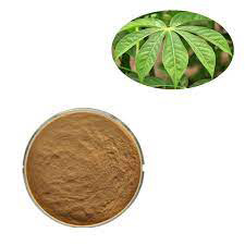 Manioc Leaf Extract