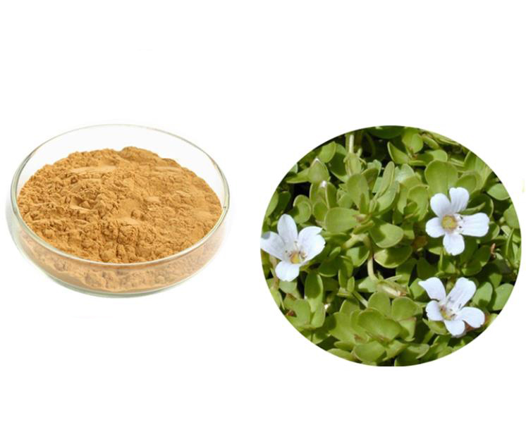 False purslane extract; Bacopa monnieri extract