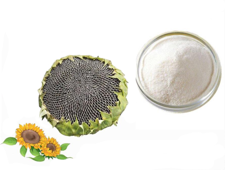 Sunflower Pan Extract; Sunflower Plate total?alkaloids