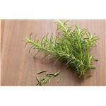 Rosemary oil