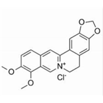 Berberine HCI 