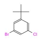 1-bromo-3-tert-butyl-5-chlorobenzene