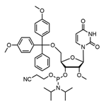 5'-O-(4,4-Dimethoxytrityl)-2'-O-methyluridine-3'-(2-cyanoethyl-N,N-diisopropyl)phosphoramidite