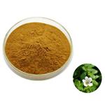 False purslane extract; Bacopa monnieri extract