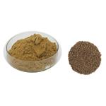 CELERY SEED EXTRACT