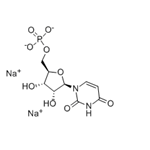 Disodium uridine-5'-monophosphate