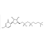 Citicoline, CDP choline (CDPC-H)