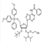 3'-TBDMS-Bz-rA Phosphoramidite