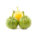 Garcinia cambogia extract