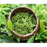 Green tea powder; Instant green tea powder