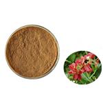 Kunming Mountain Begonia Extract Powder