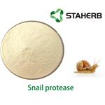 Snail protease