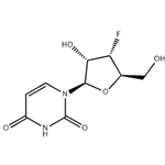 3'-deoxy-3'-fluorouridine