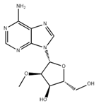 2'-O-Methyladenosine