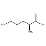 L-Ornithine