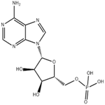 Adenosine 5'-monophosphate