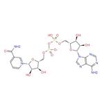 β-Nicotinamide adenine dinucleotide