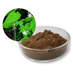 Icariin; Epimedium Extract