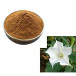 Scopolamine butylbromide; Flos?daturae extract